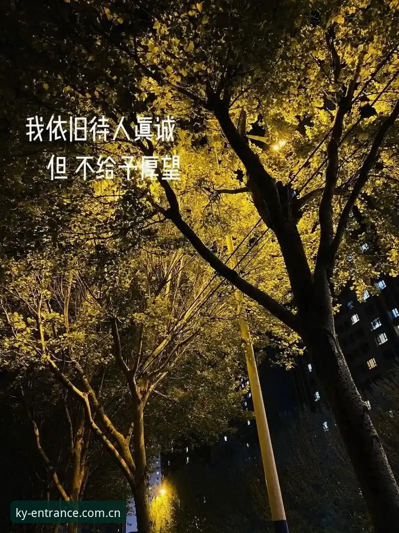 你还记得上一次半夜爬起来找网站入口是什么时候吗？凌晨两点半，比赛还有二十分钟开打，你忙着刷新页面，手里攥着手机，另一台电脑开着好几个备选域名——结果每个都显示“无法访问此网站”。那种烦躁，我见过太多次了。